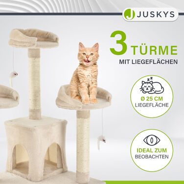 Дерево для котів Juskys Amy XXL - з печерами, лежанками, сходами та сизалевими стовпчиками. Стабільний котячий комплекс 170 см, сірий (бежевий)