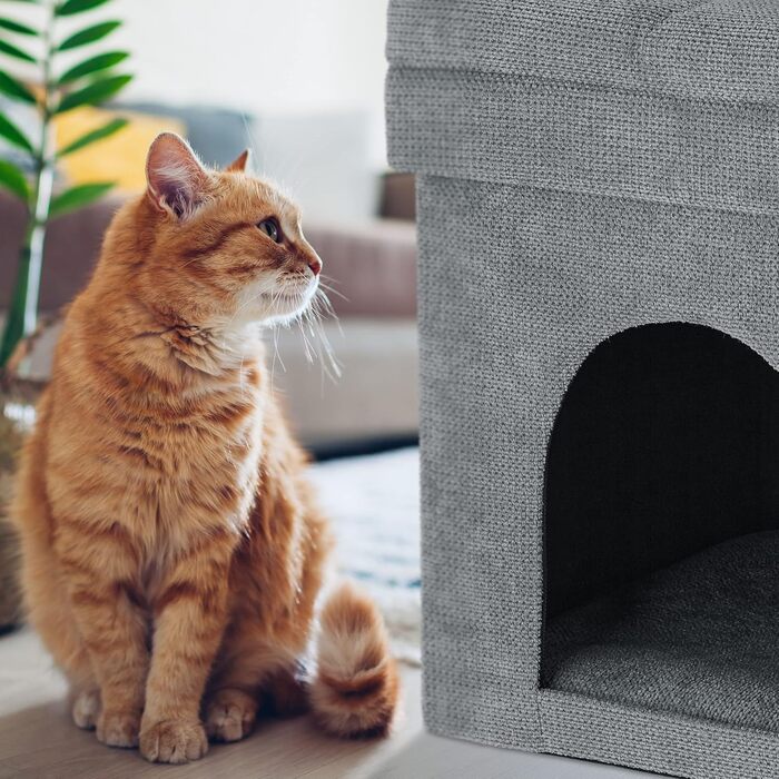 Кігтеточка-гніздо для котів та маленьких собак Relaxdays, сіра, 42x38x38 см