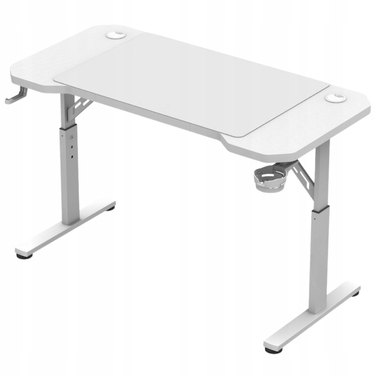 Ігровий підлітковий стіл з регулюванням висоти, карбоновий, білий, 120 см