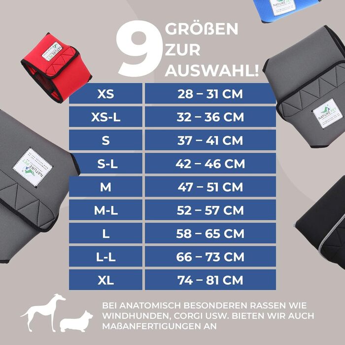 Incontinence pants for female dogs / Incontinence pants for male dogs / Dog protection pants made of high-quality, perforated neoprene, black, XS, (manufacturer size 1)
