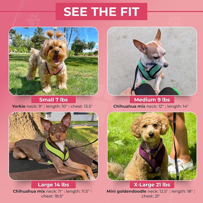 Нашийник для собак Gooby Comfort X для прогулянок та дому, чорний, розмір M, захист від задушення, для собак малих та середніх порід