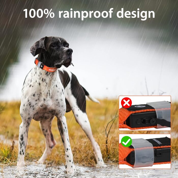 Світловідбиваючий нашийник для собак ASBRILL з LED підсвічуванням, водонепроникний, регульований, 3 режими освітлення, для малих, середніх та великих собак (XS, помаранчевий)