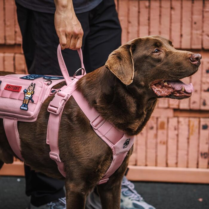Нашийник для собак OneTigris Guardian з міцною металевою фурнітурою та великою кишенею, рожевий, M
