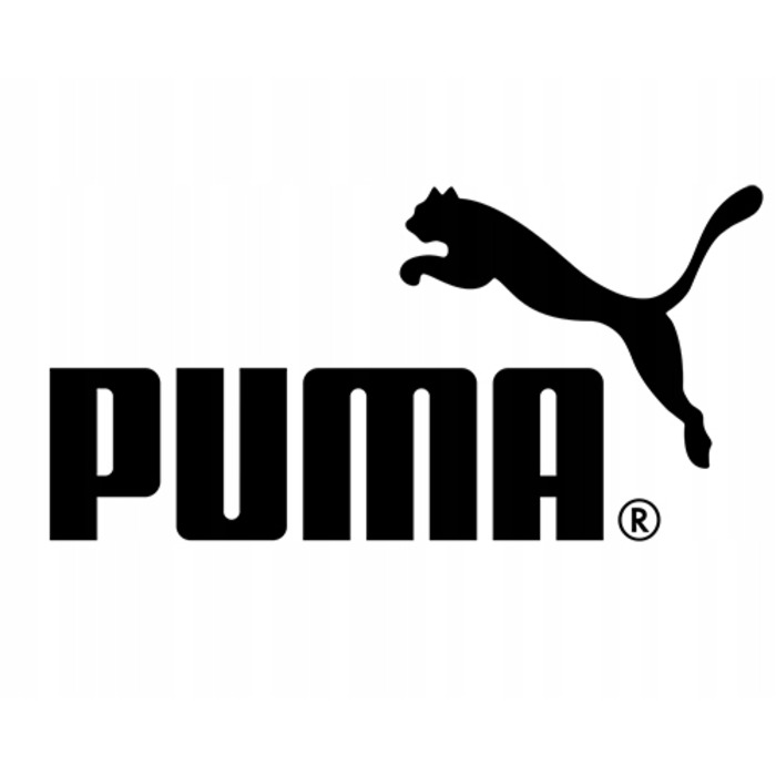 Шкільний рюкзак Puma однокамерний, синій, 22 л