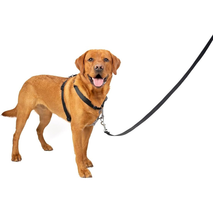 Нашийник-шлейка PetSafe 3-в-1 для собак, з анти-тягнучим кільцем та ременем для авто, розмір L, чорний