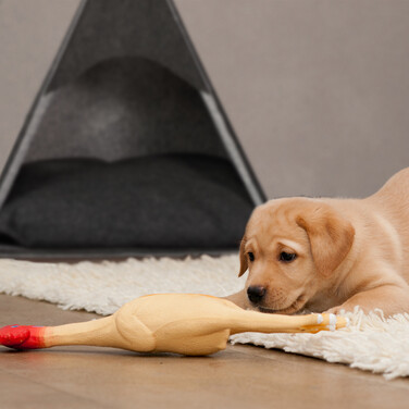 Relaxdays Felt Dog Tent