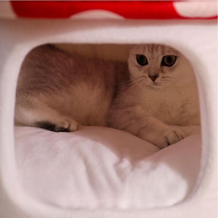 Кігтечка-ліжко для котів Pilz з знімним подушкою, м'яка та тепла, когтеточка-печеринка, для котів та маленьких собак (50x47см, Червоний)