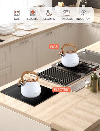 Чайник BELANKO Teekessel 2.7л з нержавіючої сталі з дерев'яною ручкою, гучний свисток, для плити, індукції, діамантовим дизайном, чорний (глянцевий білий)