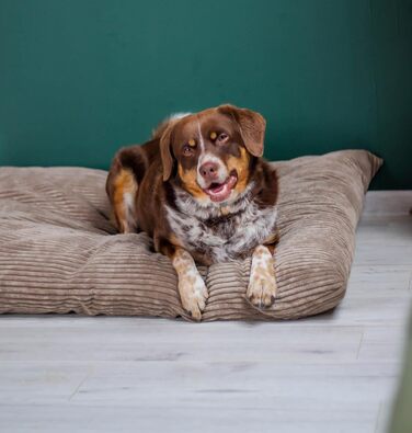 4L Textil ZOE - М'яке собаче ліжко з тканини Corduroy, 60x50 см, бежеве (смужки)