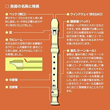 Блокфлейта Yamaha Soprano, німецька система, Ecodear