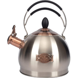Вінтажний чайник-свисток з нержавіючої сталі 2.6L, ретро дизайн, з ручкою (сріблястий)