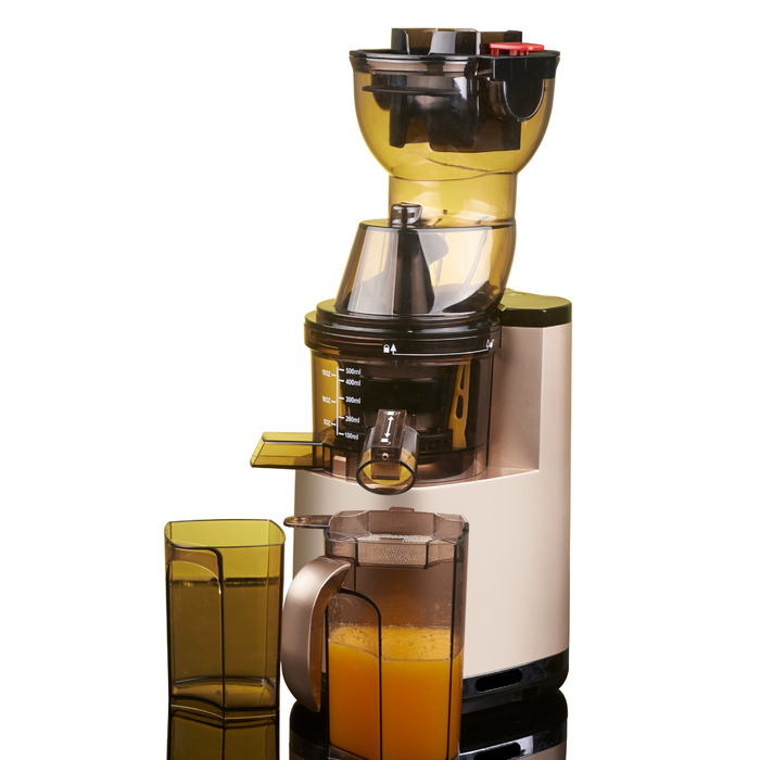 Вертикальна повільна соковижималка Botti Healthy Line 250 Вт