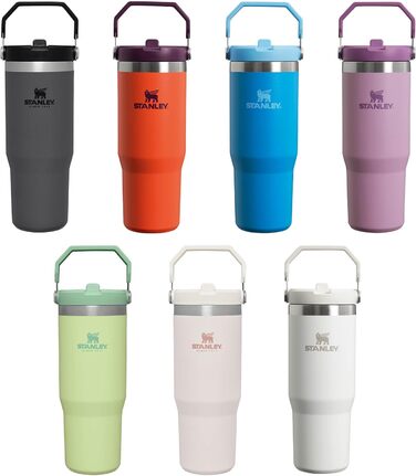 Stanley Flip Straw Tumbler 1.0 Drinking Bottle with Straw 0.89L - Thermos Bottle Keeps Drinks Cold for 12+ Hours - Dishwasher Safe - Sports Bottle - Water Bottle BPA Free - Frost