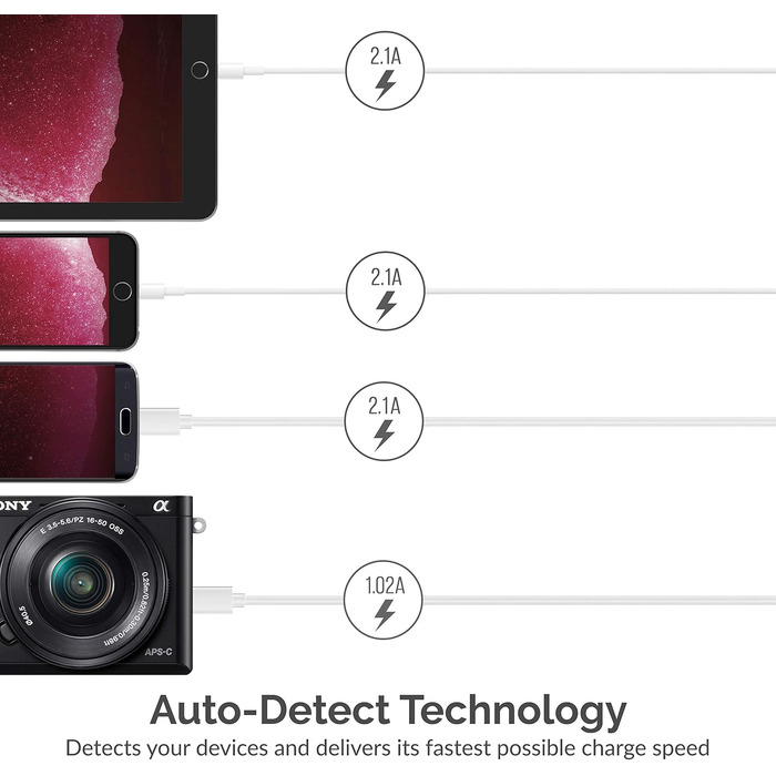 Зарядний пристрій Sabrent USB 60W, 10 портів, швидка зарядка для MacBook, ноутбуків USB-C, iPhone, Samsung Galaxy (AX-TPCS) - Чорний