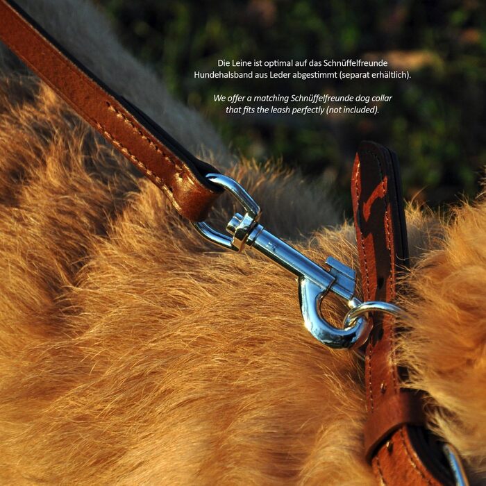 Leather Dog Leash - Training Leash - Leather Leash for Dog - Leash 3-Way Adjustable, for All Dogs (230cm, Green)