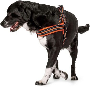 Шнурки HUNTER Norwegergechirr Meldal, 37-44 см (помаранчевий, S)