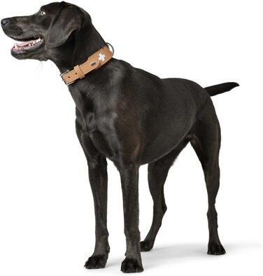 Нашийник для собак HUNTER Swiss з м'якої шкіри, ручної роботи, розмір M-L (60), колір: бежевий/натуральний