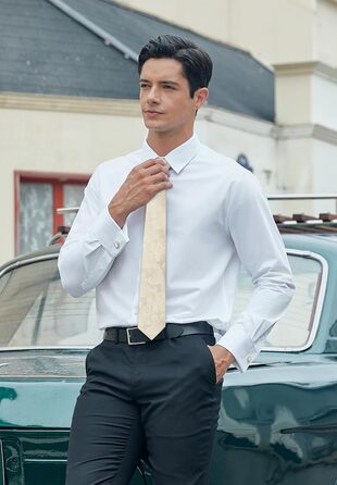 Краватка та нагрудна хустинка Enlision для весілля: шовковий комплект Paisley з латунними застібками для манжетів, бежевий/шампань