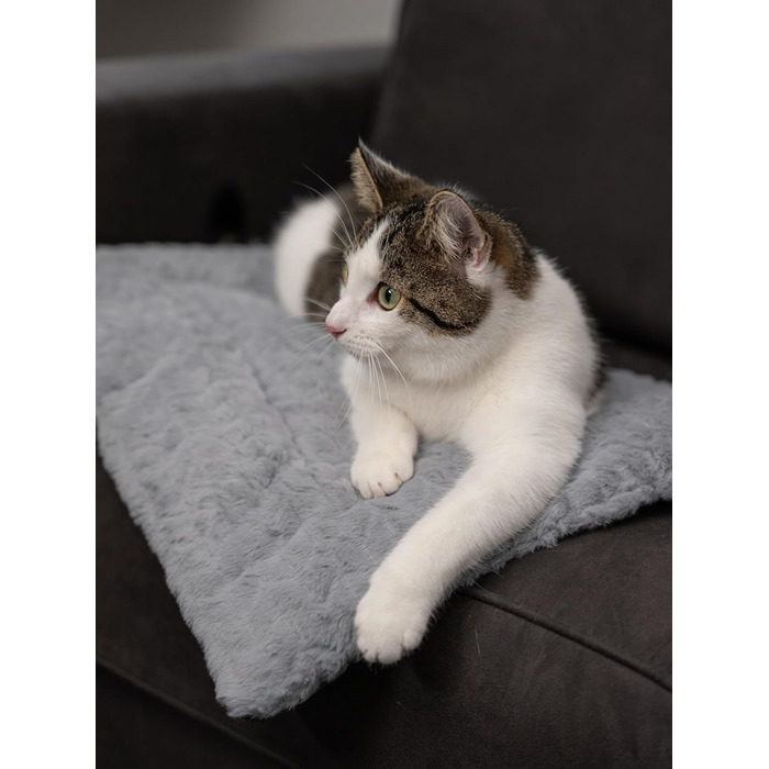 TrendPet Лежанка для собак і котів, двостороння, з підкладкою, сіра (50x35 см)