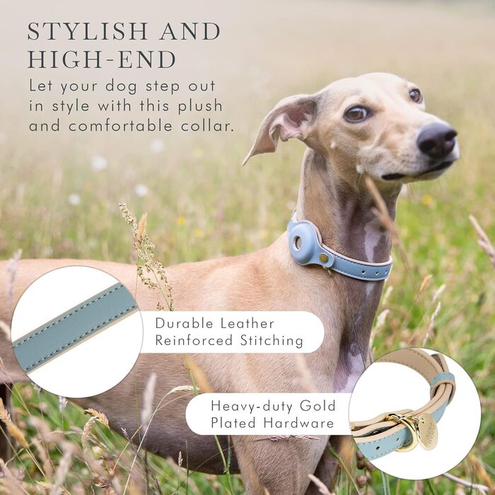 Cupertino Dog Collars, Harnesses & Leashes made of vegan leather with dog tracker device holder, adjustable dog collar (Small (Neck: 12x15), Pink) (Medium (Neck: 15x19), Blue)