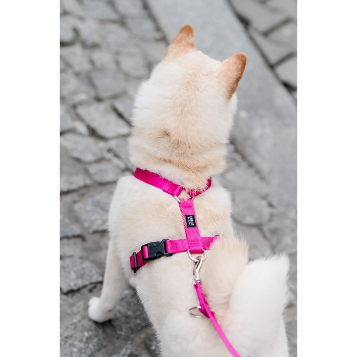 Шлейка для собак Chaba Guard для малих та середніх порід, контрольована, протисмикова, регульована, зручна, легка, класична, розмір M, фуксія/рожева