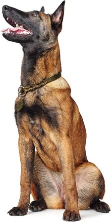 Нашийник для дрессури HUNTER SOLID EDUCATION, оливковий, міцне шкіряне плетіння, з кільцем, Made in Germany, розмір S-M