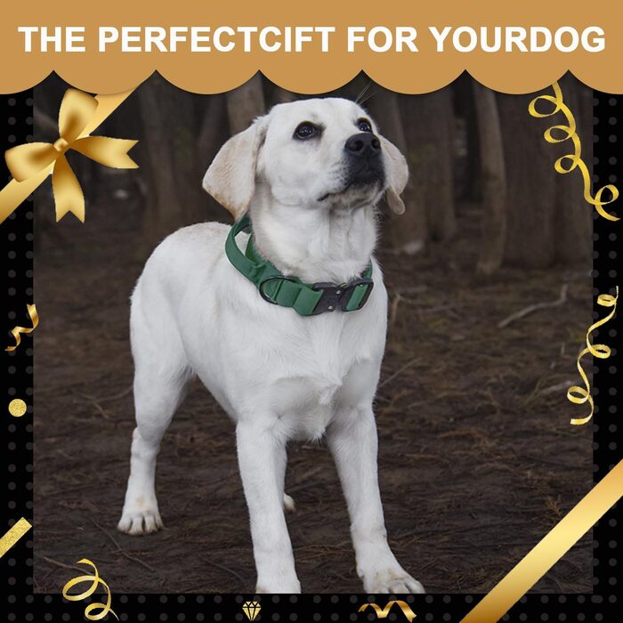 Тактичне нашийник для собак з ручкою, XL, зелений. Міцний, регульований, з металевою застібкою та неопреновою підкладкою