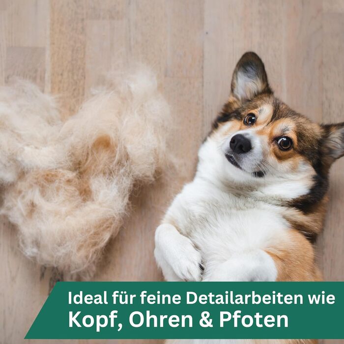 Машинка для стрижки собак Agrarzone Edition Aesculap Exacta - з запасним ножем, тиха, без вібрації, для собак та котів