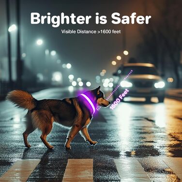 Світлодіодне нашийник для собак MABRILL, перезаряджається, водонепроникний, 3 режими світла, для малих, середніх та великих собак, колір: фіолетовий (L)