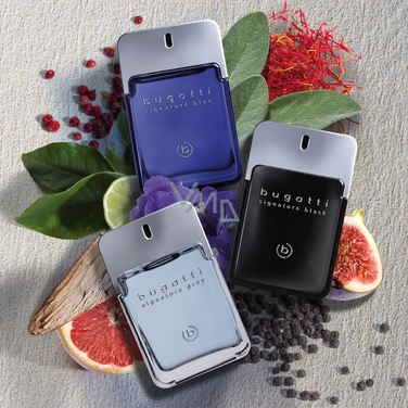 Туалетна вода Bugatti Signature Grey, 100 мл