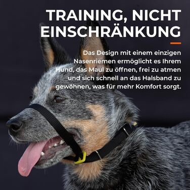 Нашийник-напівобруч Canny Collar для собак – проти ривка | Безпечний та ефективний контроль | Тренувальний аксесуар для спокійних прогулянок | Розмір 5, Чорний, обхват шиї 43-48 см