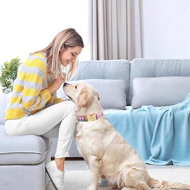 Персоналізоване собаче ошийник з металевою застібкою: з іменем та номером телефону. Регульовані розміри для собак середніх та великих порід.