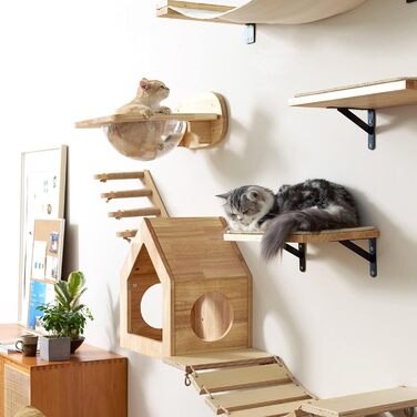 Climbing Wall for Cats, Transparent Room Capsule with 2 Pedals as a Cat Wall Furniture Set, made of Solid Rubberwood, High-Quality Cat Bed for Sleeping, Playing, and Climbing - Supports up to 16KG