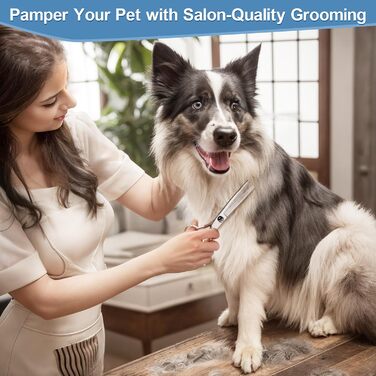 Професійна ножиця для собак 5-в-1 Gimars: 4CR сталь, безпечна закруглена накінечник, титанове покриття, пряма, філірувальна та вигнута (Блакитний)