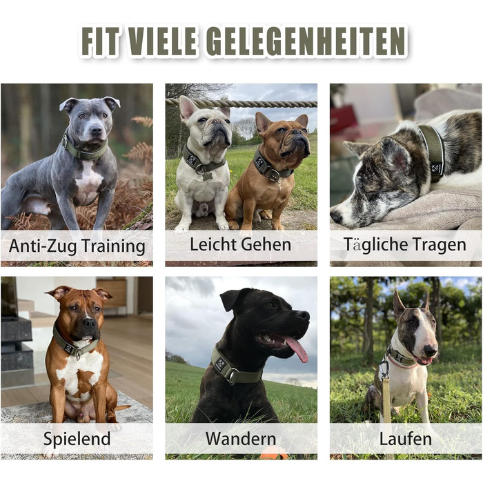 Нашийник для собак з м'якого неопрену (4 см ширина), світловідбиваючий, з міцного нейлону та стопором, зручний, для дресирування, проти потягування, розмір L (армійний зелений, обхват шиї 45-56 см)