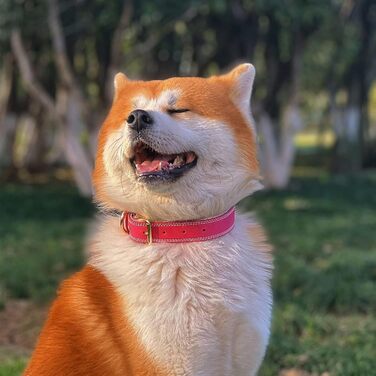 Нашийник для собак з натуральної шкіри, широкий, зелений/рожевий, M/XL