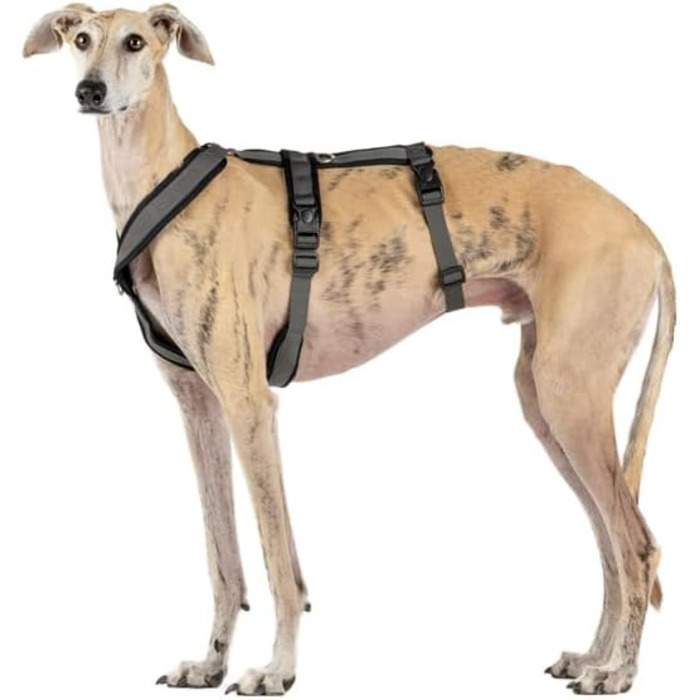 Шлейка для собак Whippet, Podenco, Італійський грейхаунд - антитягальна, для прогулянок, тренувань та бігу (Рожева, XS)