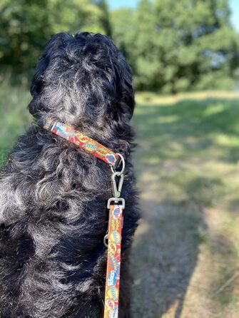 Нашийник для собак Max & Molly Gotcha! з Smart ID, преміум-якість, для великих собак, водонепроникний, зручний, регульований, ширина 2.5 см