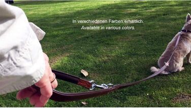 Leather Dog Leash - Training Leash - Leather Leash for Dog - Leash 3-Way Adjustable, for All Dogs (230cm, Green)