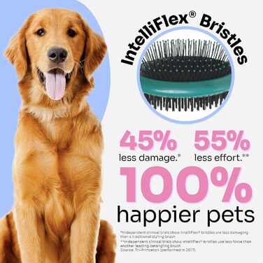 Щітка Wet Brush Ultimate Dual-Sided для собак, котів та кроликів - ультрам'яка IntelliFlex, турквіз блакитний