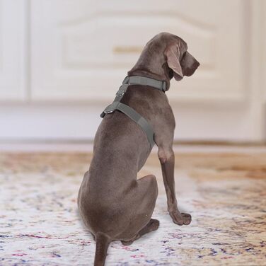 Шлейка для собак FEimaX для великих собак, тактична, не тягне, дихаюча, комфортна, сіра, міцна