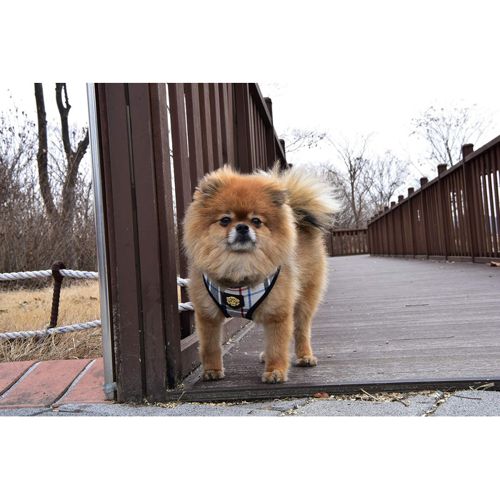 Нашийник для собак Пуппія Джуніор - легкий та супер м'який, для маленьких собак та цуценят, антигризун, бежевий, розмір M, PAMA-AC978 M Beige