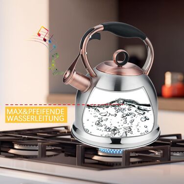 Чайник-свисток 3л з нержавіючої сталі, індукційний, з термостійкою ручкою (срібний)