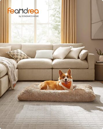 Ліжко для собак Feandrea з м'яким лежаком, 65x45 см, Ombré Grey, машинне прання, багатофункціональне, PGW200G01