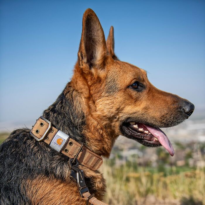Carhartt Pet Fully Adjustable Wide Webbing Dog Collar, Carhartt Brown, Size M