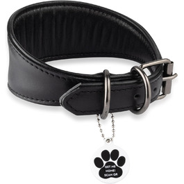 Стильне шкіряне нашийник для породистих собак (Вінтерхаунд, Віпет, Салукі) з QR-кодом, розмір M