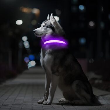 Світлодіодне нашийник для собак MABRILL, перезаряджається, водонепроникний, 3 режими світла, для малих, середніх та великих собак, колір: фіолетовий (L)