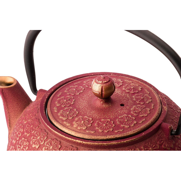 Bredemeijer Red Asian Cast Iron Teapot Set 0.6 Liter with 2 Cups