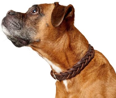Нашийник для собак Hunter Solid Education, шкіряний, ручної роботи, темно-коричневий, розмір S-M