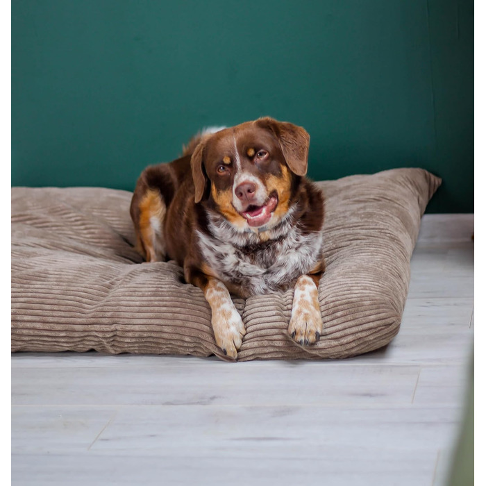 4L Textil ZOE - М'яке собаче ліжко з тканини Corduroy, 60x50 см, бежеве (смужки)